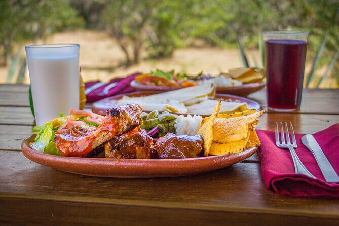 Camel Ride with Tequila Tasting and Lunch in Los Cabos - Candid Feedback from Travelers