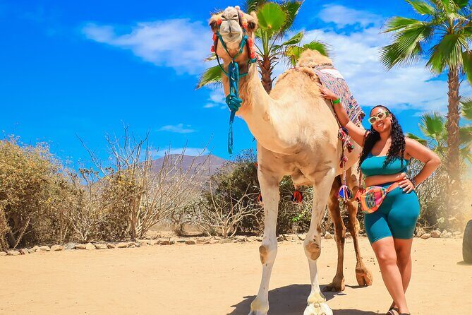 Camel Ride with Tequila Tasting and Lunch in Los Cabos - Who Would Love This Tour?