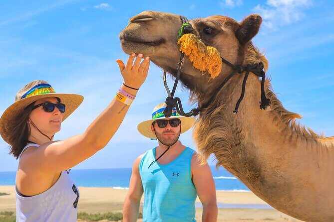 Camel Ride with Tequila Tasting and Lunch in Los Cabos - Final Thoughts: Is It Worth It?