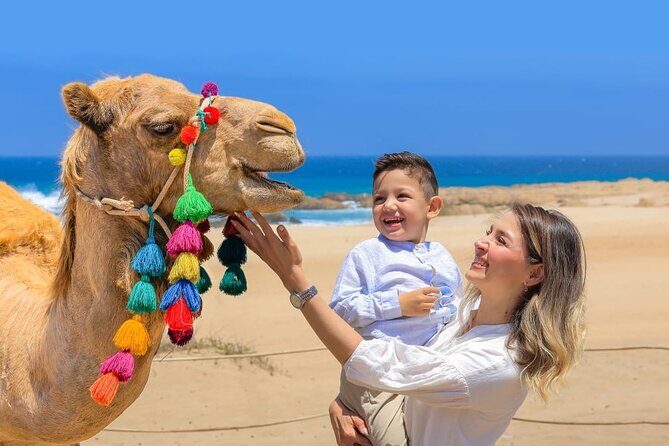 Camel Ride with Tequila Tasting and Lunch in Los Cabos - FAQ