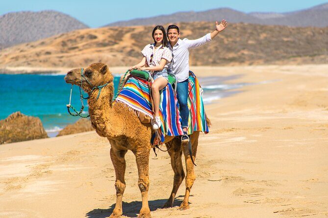 Camel riding experience on the shores of the Pacific Ocean - What to Expect from Your Camel Adventure in Cabo