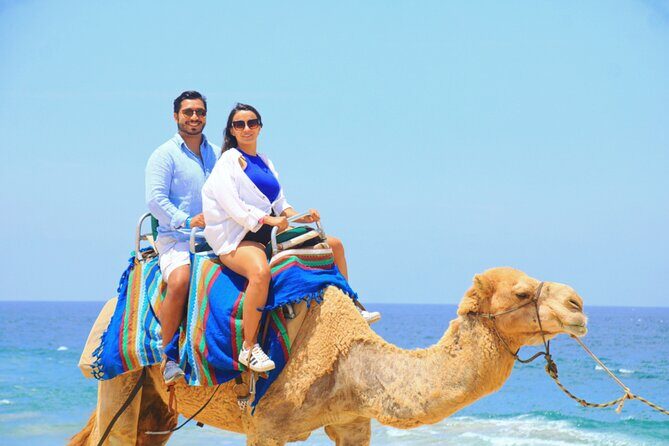 Camel riding experience on the shores of the Pacific Ocean - The Sum Up