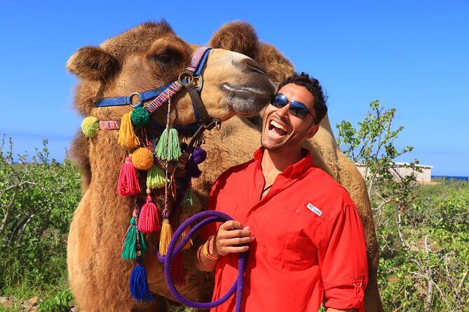 Camel riding experience on the shores of the Pacific Ocean - Frequently Asked Questions