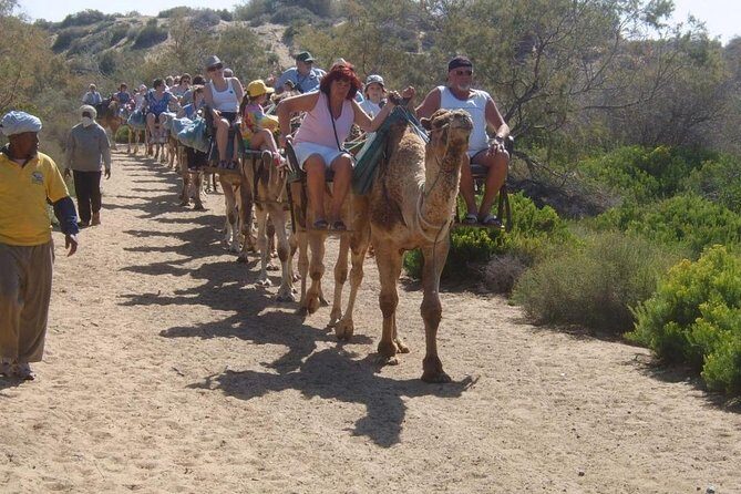 Camel Riding in Maspalomas Dunes - The Sum Up