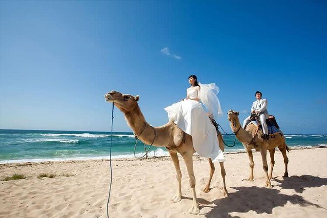 Camel Safari 30 minutes In White Sand Beach - FAQ