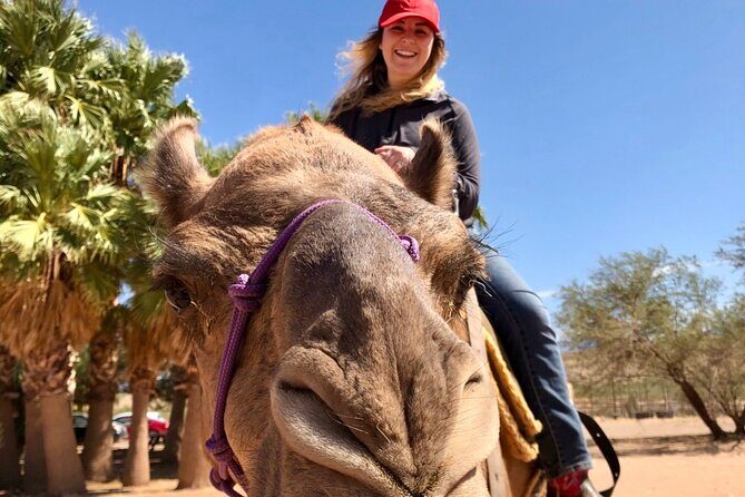 Camel Safari - Camel Ride and Zoo Tour - Key Points