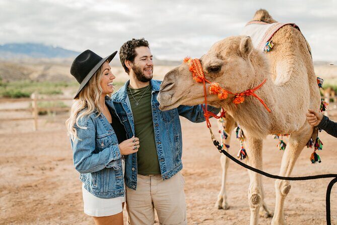 Camel Safari - Camel Ride and Zoo Tour - The Sum Up