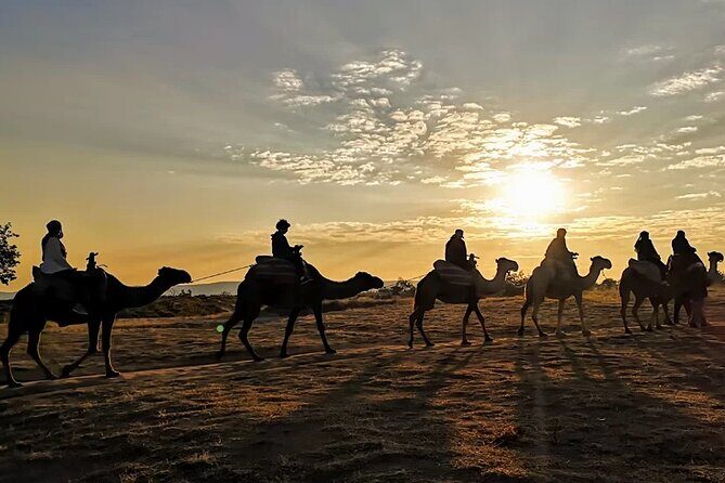 Camel Safari in Cappadocia - Exploring the Camel Safari Experience in Cappadocia