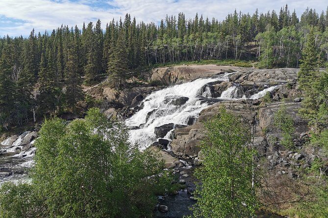 Cameron Falls Hiking Tour - Who Should Consider This Tour?