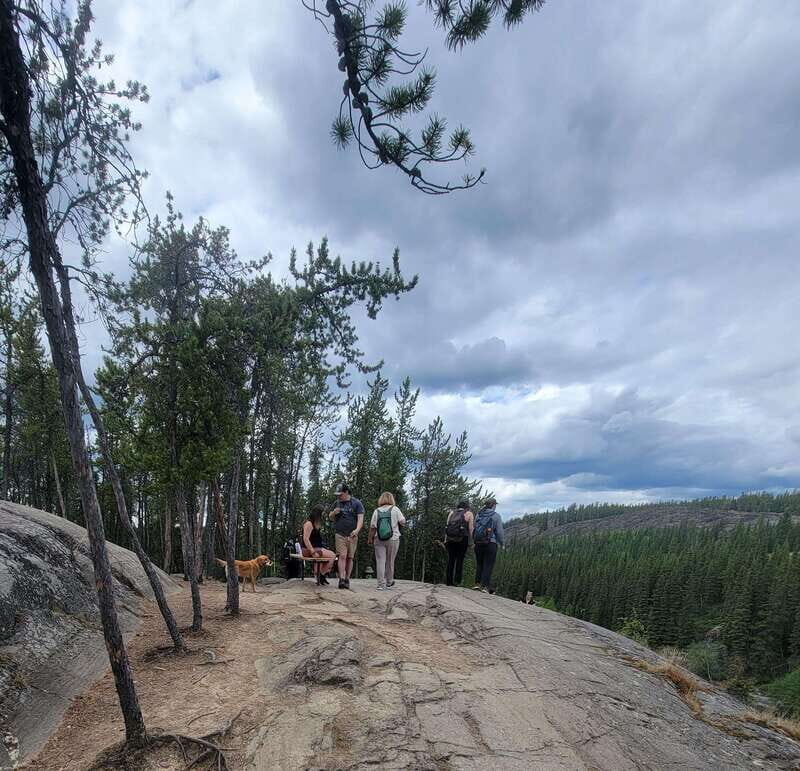 Cameron Falls Waterfall Tour - Value for Money