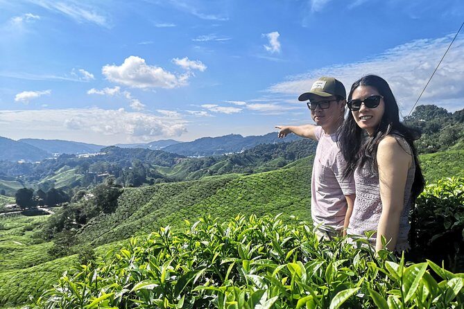 Cameron Highland Best Tour from Ipoh with Lunch ( Day Trip) - Final thoughts: Is this the tour for you?