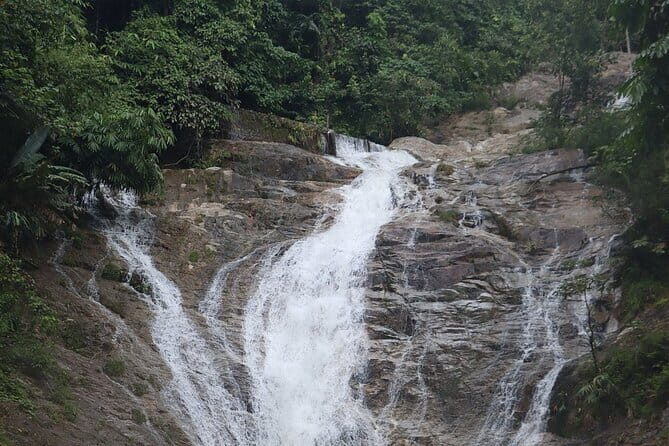 Cameron Highland Full Day Tour from KL City Private Tour - A Deep Dive into the Cameron Highlands Private Tour