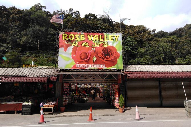 Cameron Highland Private Day Tour - An In-Depth Look at the Cameron Highland Private Day Tour