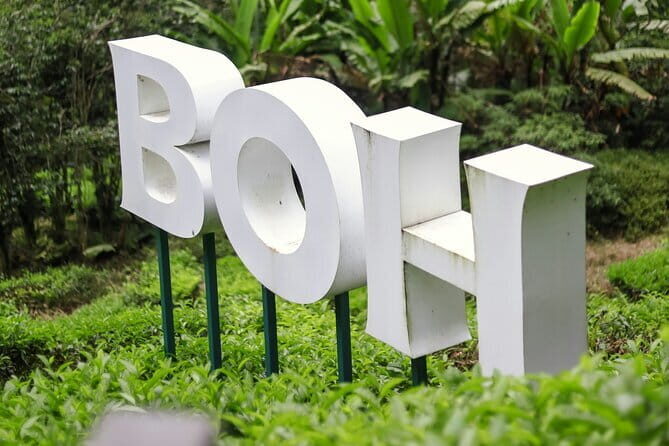 Cameron Highland Private Day Tour From Ipoh - Final Thoughts