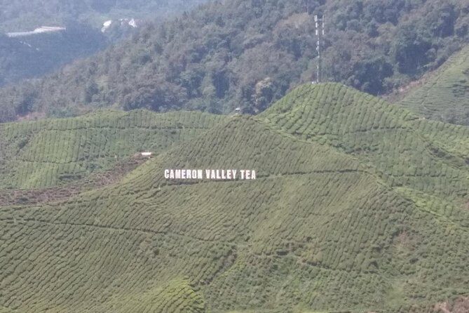Cameron Highlands 3 Days 2 Night Tours Private (per Vehicle) - Exploring the Cameron Highlands: A Detailed Review