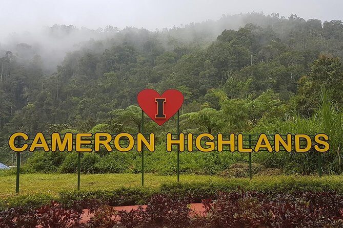 Cameron Highlands Amazing Day Trip Tour with Local Lunch - Experience the Serenity of Cameron Highlands in a Day