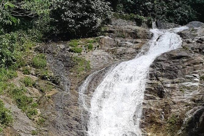 Cameron Highlands Amazing Day Trip Tour with Local Lunch - FAQ