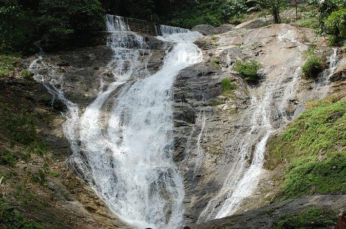 Cameron Highlands Day Tour From Kuala Lumpur 2025 - Frequently Asked Questions