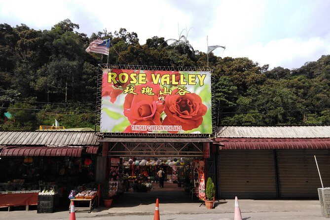 Cameron Highlands Day Trip - The Sum Up