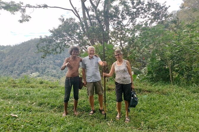 Cameron Highlands Day Trip - The Practicalities: Comfort, Value, and Booking