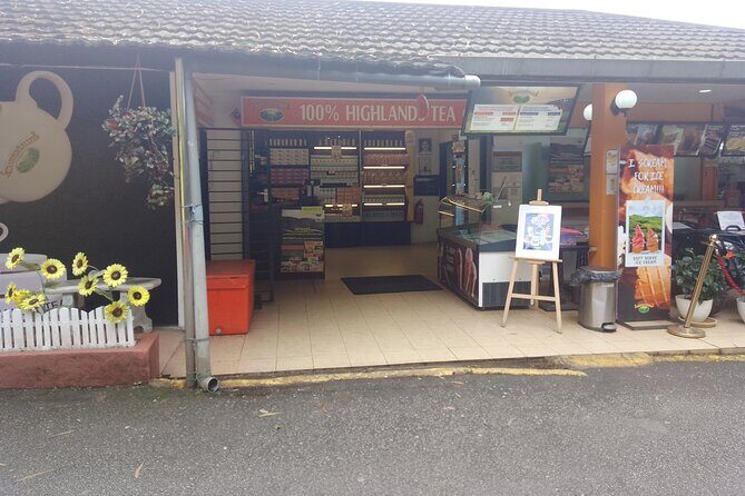 Cameron Highlands Day Trip - Final Thoughts: Who Should Consider This Tour?