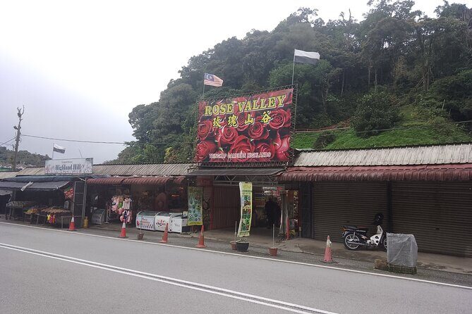 Cameron Highlands Day Trip - FAQ