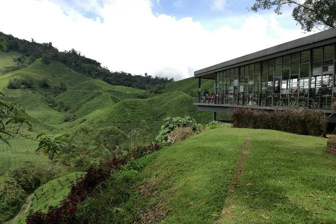 Cameron Highlands, Garden of Nature Full Day Private Guided Tour - Key Points
