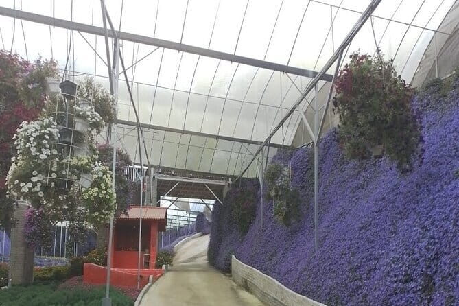 Cameron Highlands Multi Days Tour - Why This Tour Works Well for You