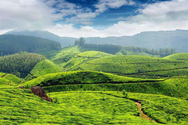 Cameron Highlands Private Day Trip - Possible Drawbacks or Considerations
