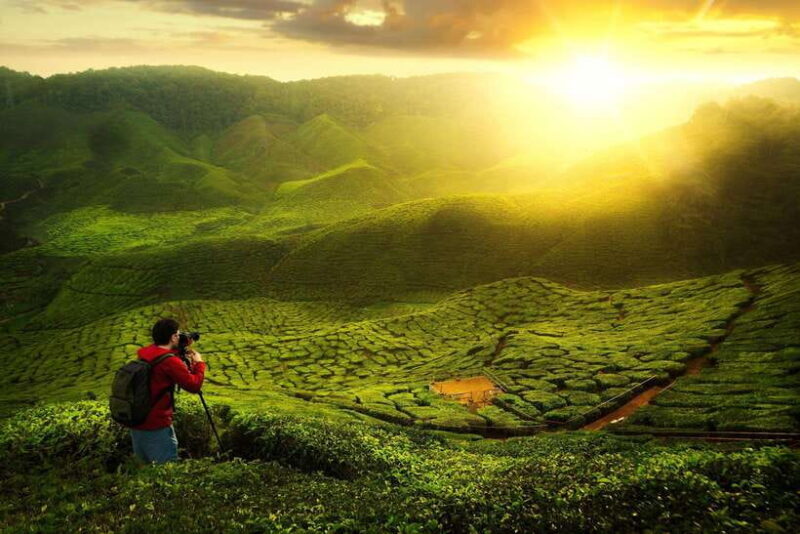 Cameron Highlands Private Tour with Tea Plantation Visit - Final Thoughts