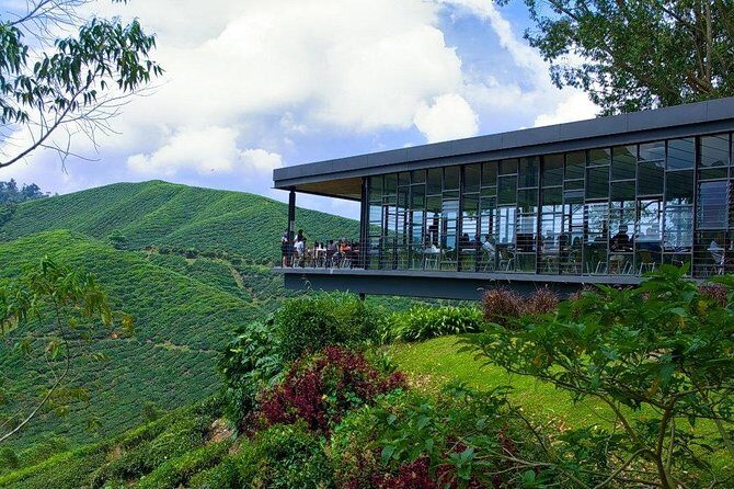 Cameron Highlands Tour from Kuala Lumpur - Who Should Consider This Tour?