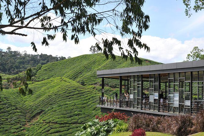 Cameron Highlands Tour From Kuala Lumpur (Private Tour) - Who Would Appreciate This Tour?