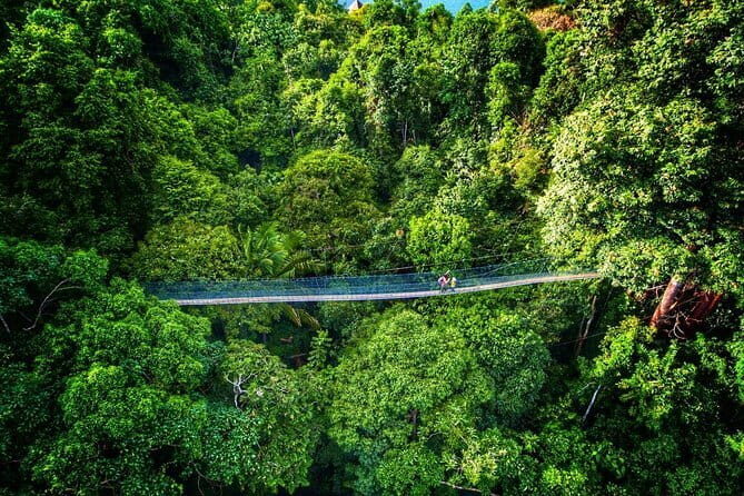 Cameron Highlands Transfer Private (Per Vehicle) - The Sum Up