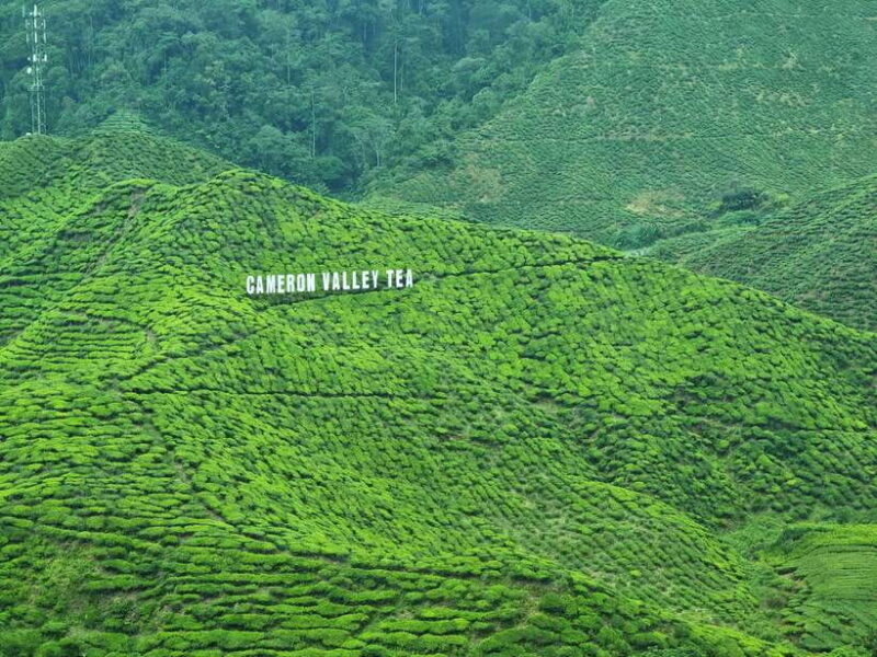 Cameroon Highland : Best nature in highland - Authentic Experiences and Traveler Feedback