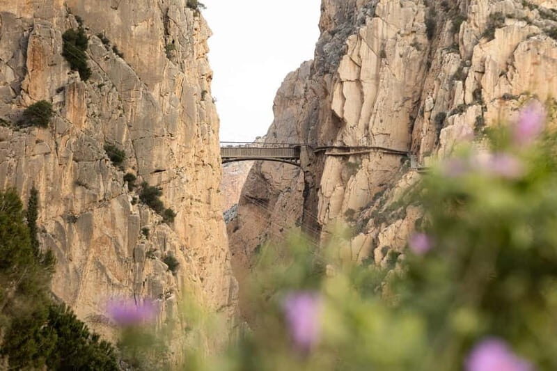 Caminito del Rey: Guided tour in German from El Chorro - Final Thoughts