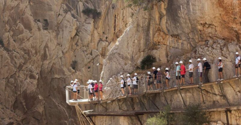 Caminito del Rey: Trekking Tour with Hiking Guide - The Practical Side: Price, Duration, and Booking
