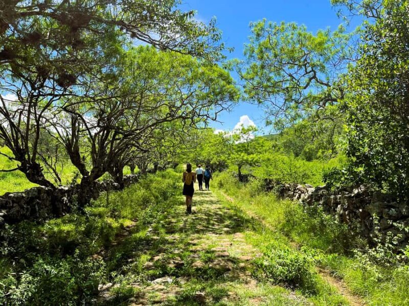 Camino Real: Barichara-Guane Trekking Tour + Paleontological Museum - The Panoramic Viewpoint and Chapel of Santa Lucia