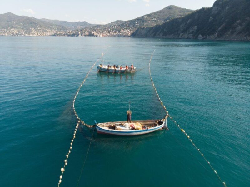 Camogli: Boat Tour on the trail of the Tonnarella - Practical Considerations