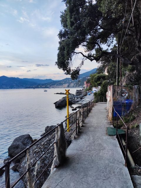 Camogli: Boat Tour on the trail of the Tonnarella - FAQs