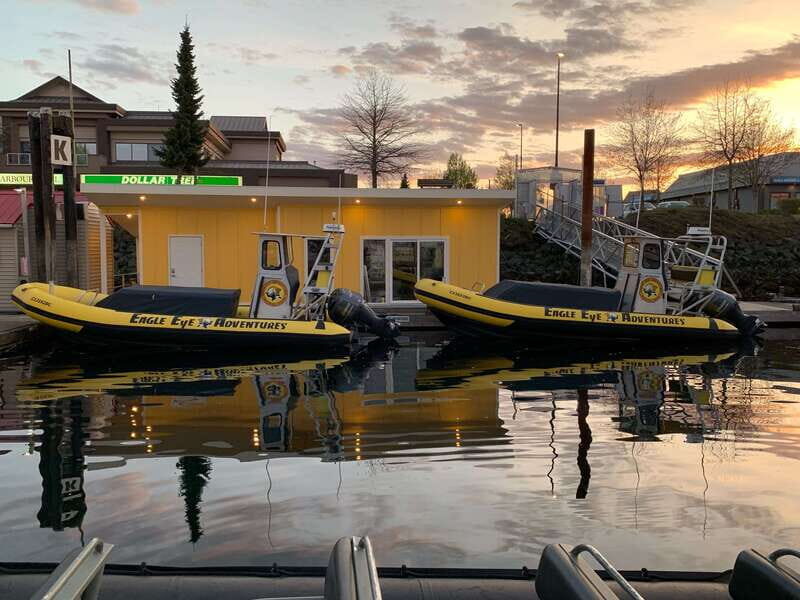 Campbell River: 4 Hour Whale & Wildlife Zodiac Boat Tour - FAQ