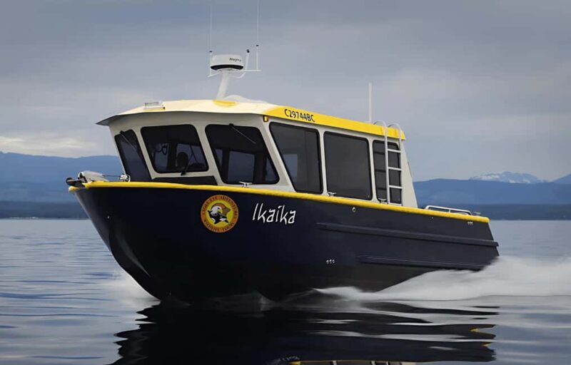 Campbell River: 6 Hour Covered Whale Watching Tour w/ Lunch - Who Should Consider This Tour?