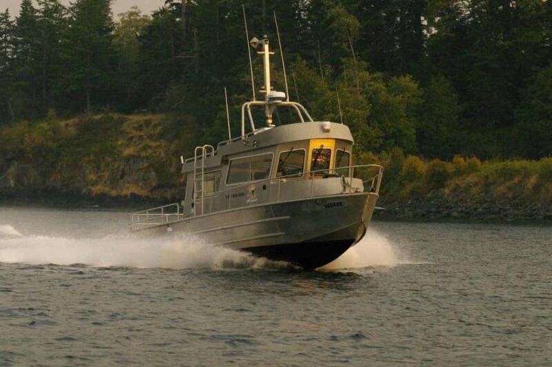 Campbell River: 7-Hour Big Animal Encounter Boat Tour - Key Points