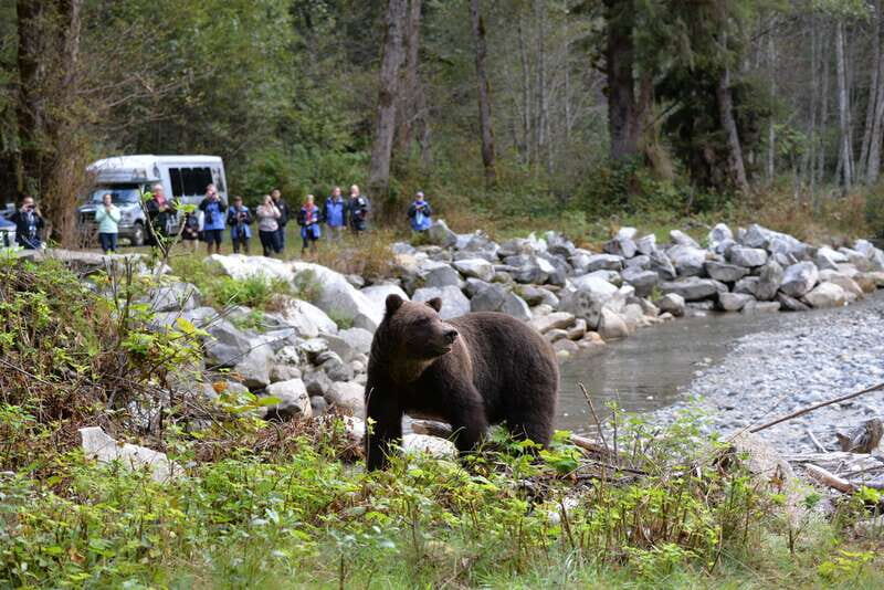 Campbell River: Deluxe Grizzlies & Indigenous Culture tour - Why This Tour Offers Great Value