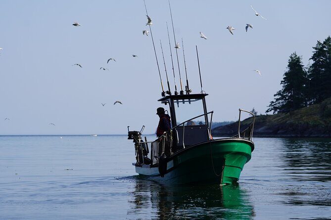 Campbell River - Fishing charters: Family-friendly & affordable - Key Points