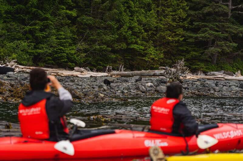 Campbell River: Kayaking and Whale Watching Tour - Key Points