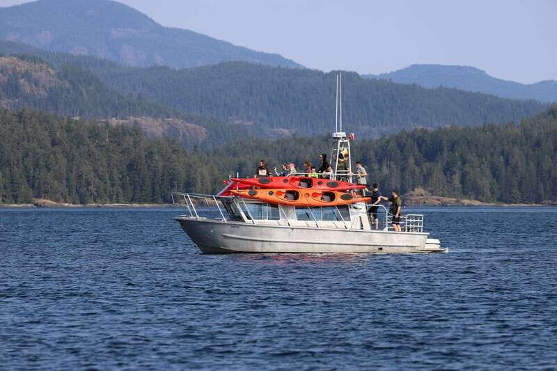 Campbell River: Kayaking and Whale Watching Tour - FAQs