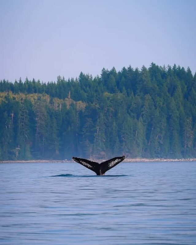 Campbell River - Private scenic boat tour - FAQ