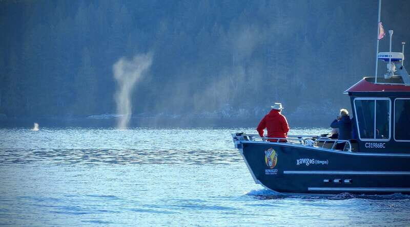 Campbell River: Salish Sea Whale Watching Adventure - In-Depth Review of the Salish Sea Whale Watching Adventure