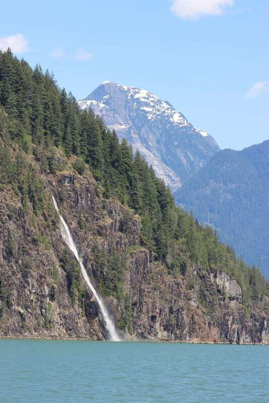 Campbell River: Spring Bear Watching & Waterfalls Boat Tour - Key Points