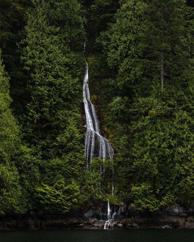 Campbell River: Spring Bear Watching & Waterfalls Boat Tour - A Breakdown of the Experience